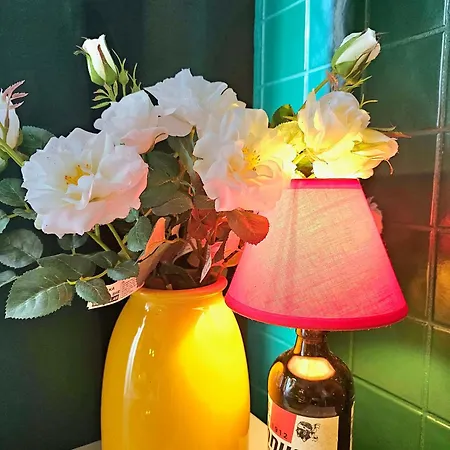 Ama Esclusive 费拉拉